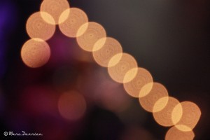IMG_0575